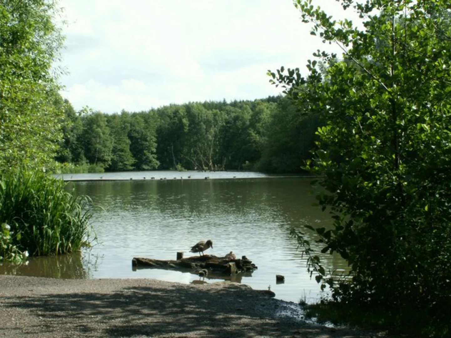 An image depicting the trail New Crofton and Cold Hiendley Loop via Wintersett Reservoir and Newmillerdam and its surrounding area.