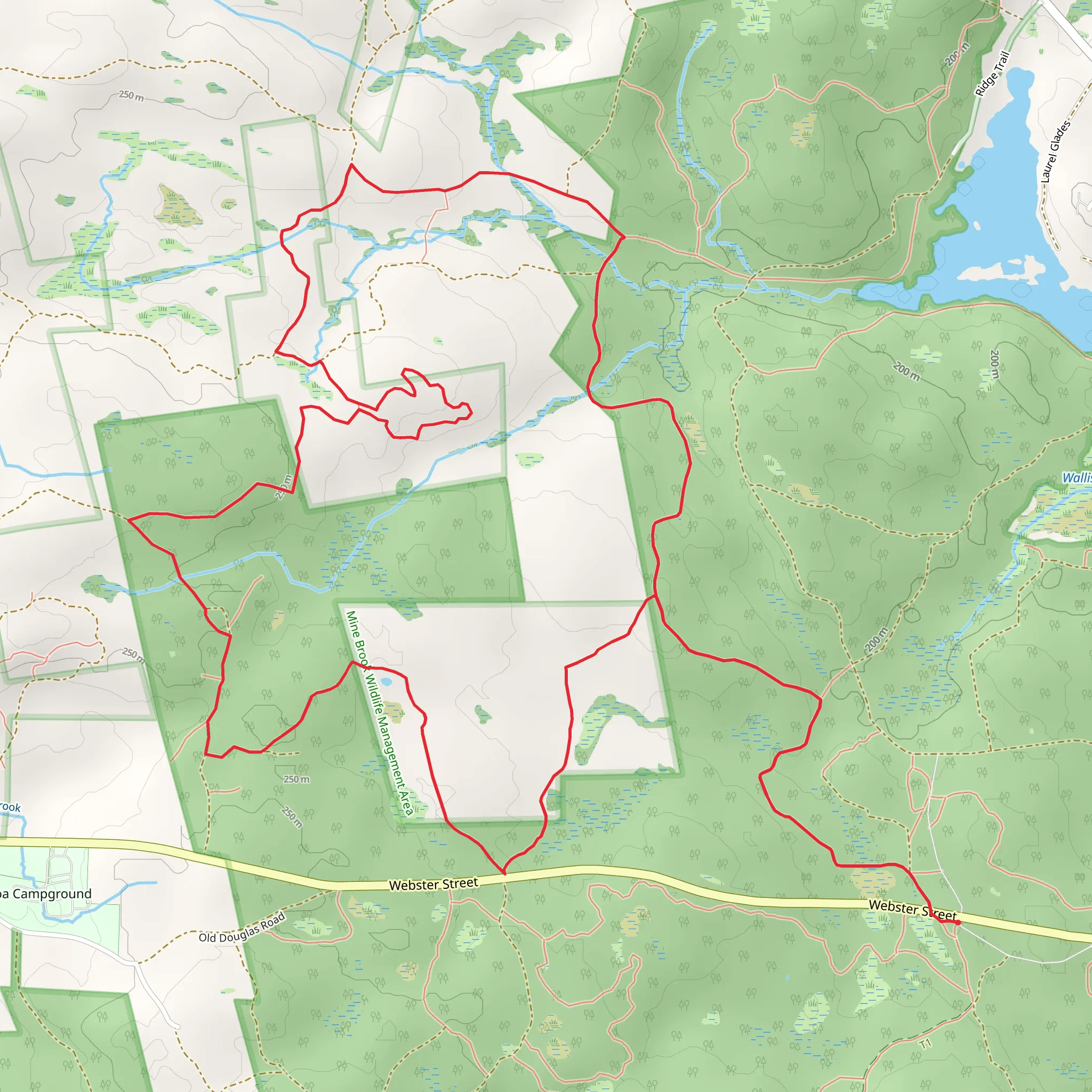 Mine Brook Wildlife Management Area Loop via Midstate Trail mobile static map