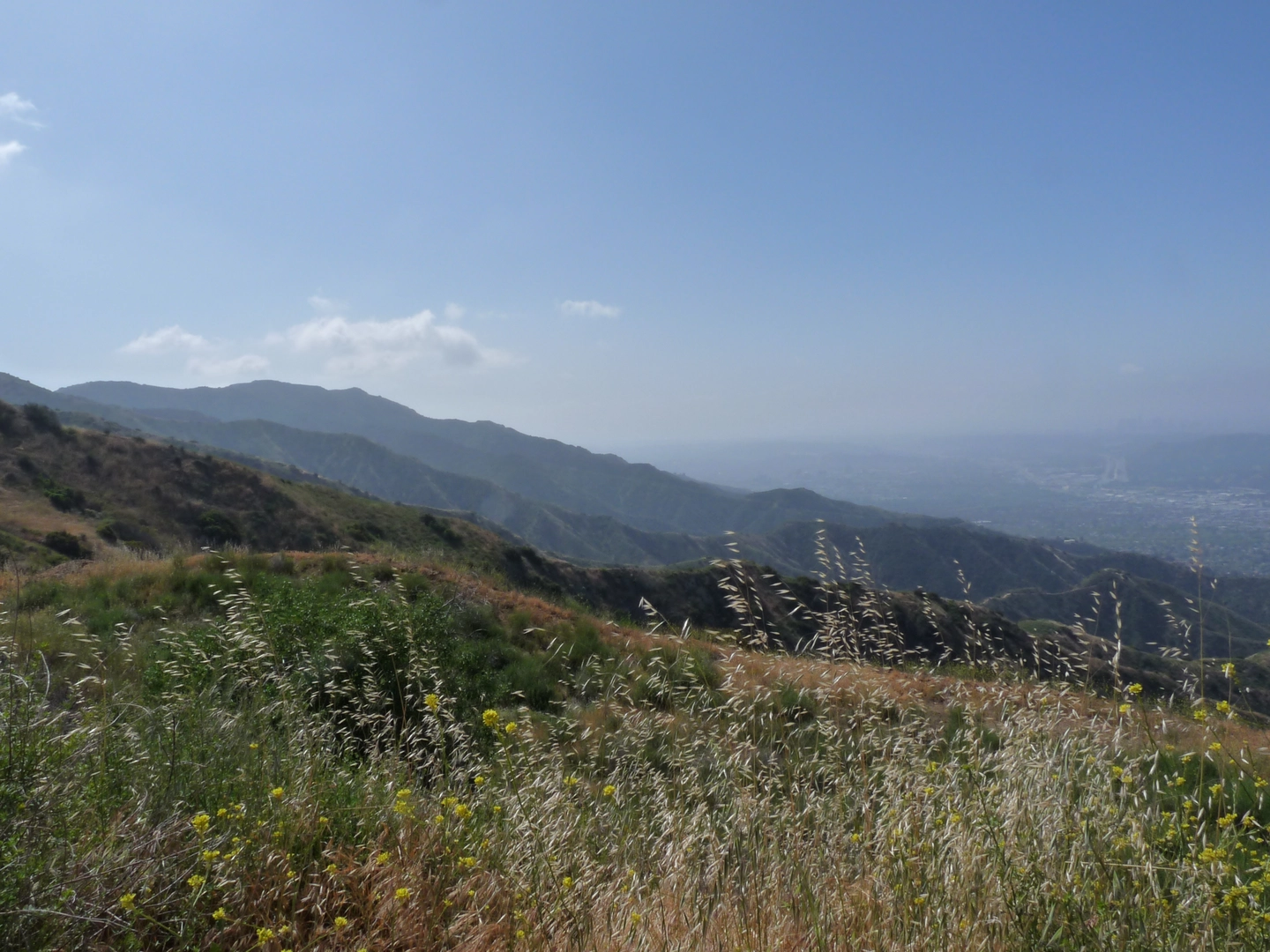 An image depicting the trail Boundary Saddle Loop and its surrounding area.