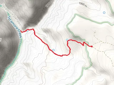 Little Lo via Kelsey Spring Trail