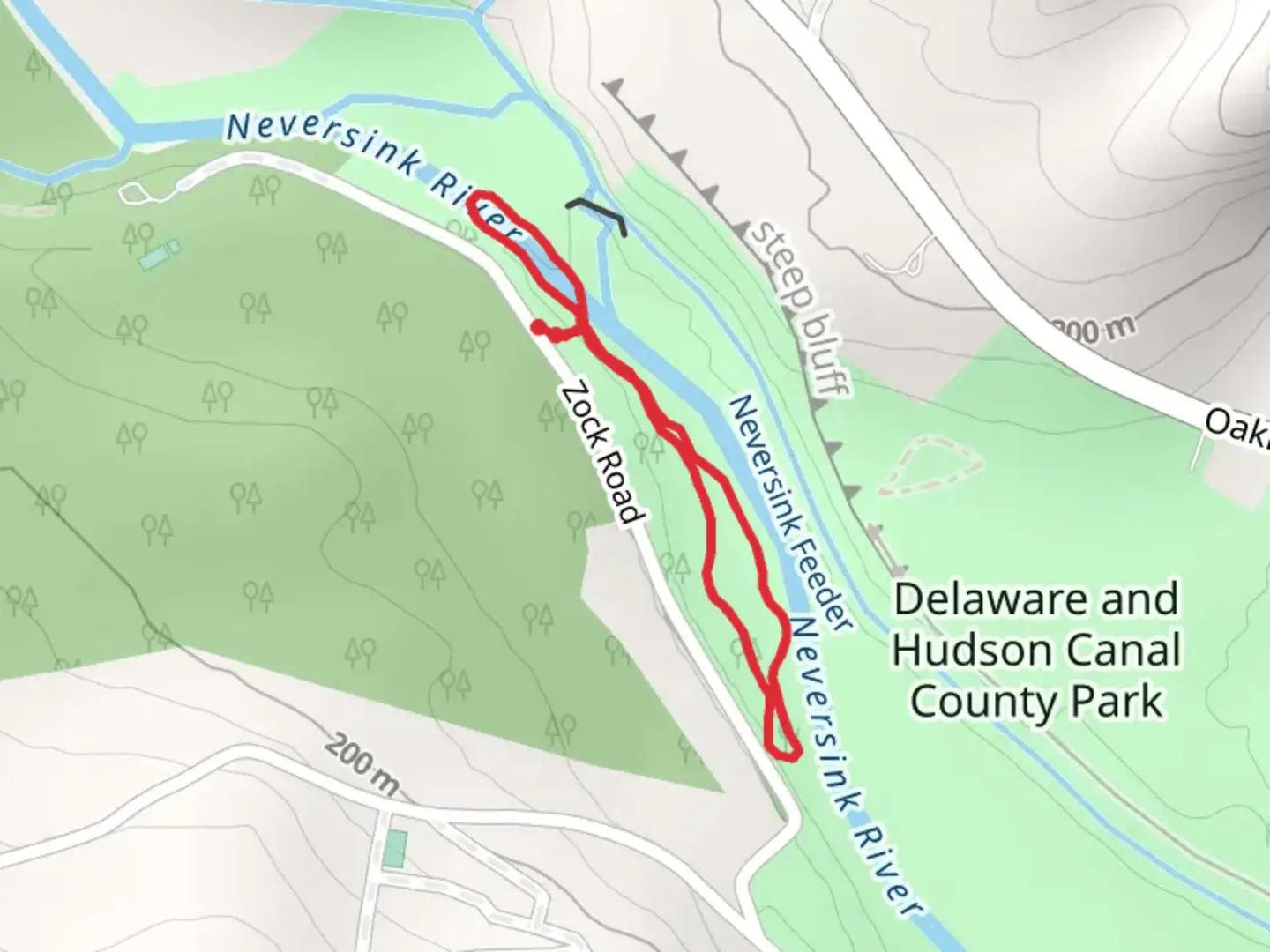 An image depicting the trail Neversink River near Zock Road and its surrounding area.