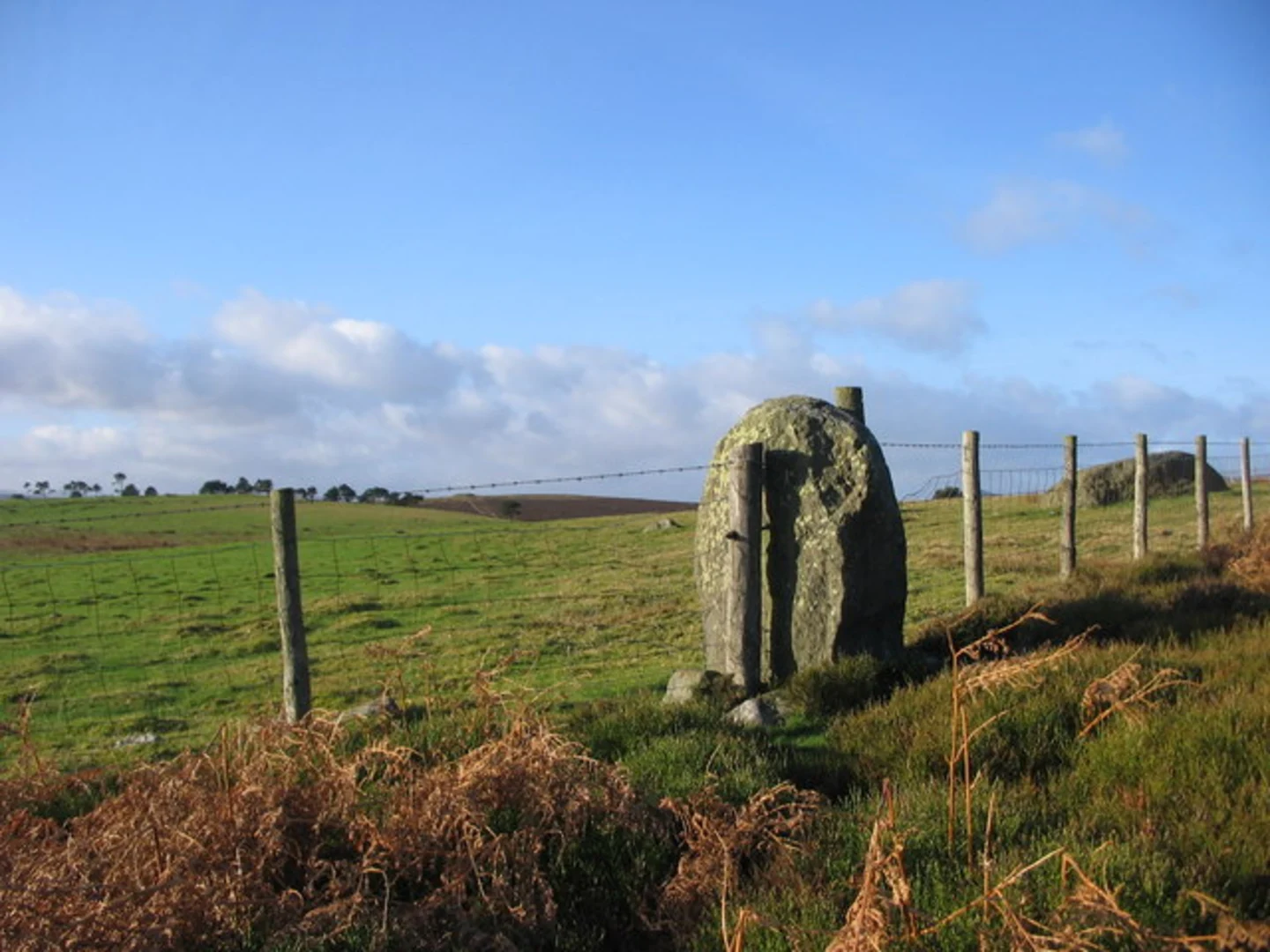 An image depicting the trail Ruabon Mountain and The Limestone Edges of Llangollen and its surrounding area.