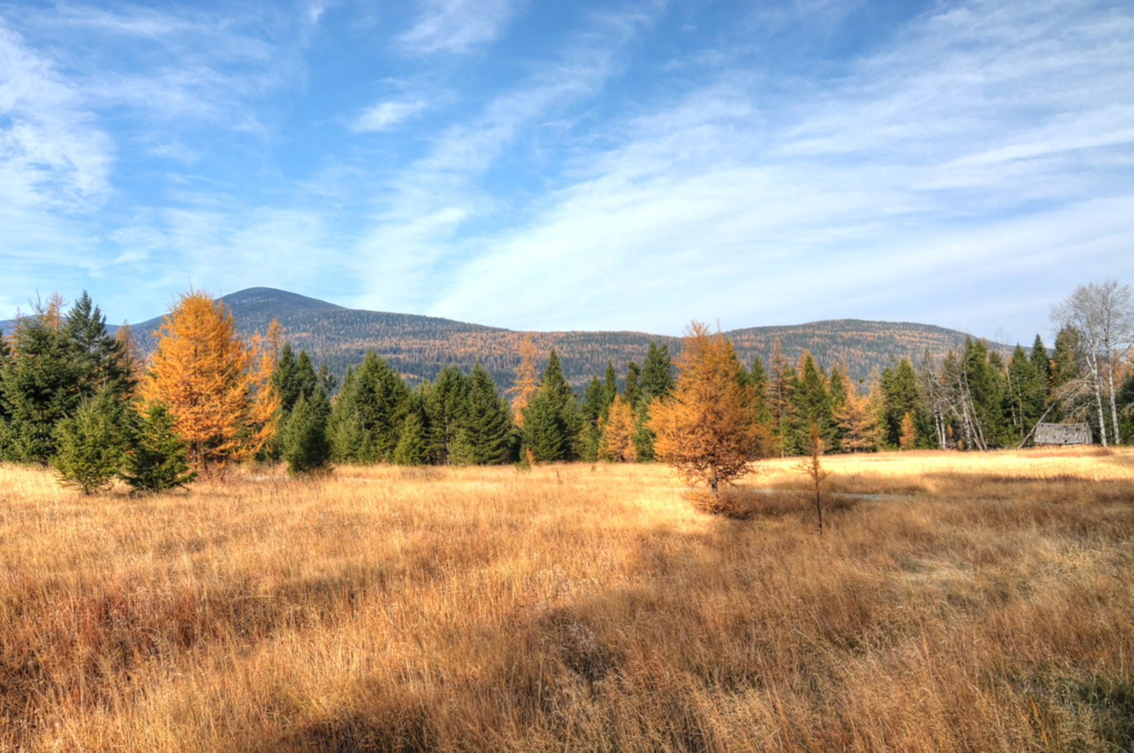 An image depicting the trail Wapaloosie Trail and its surrounding area.