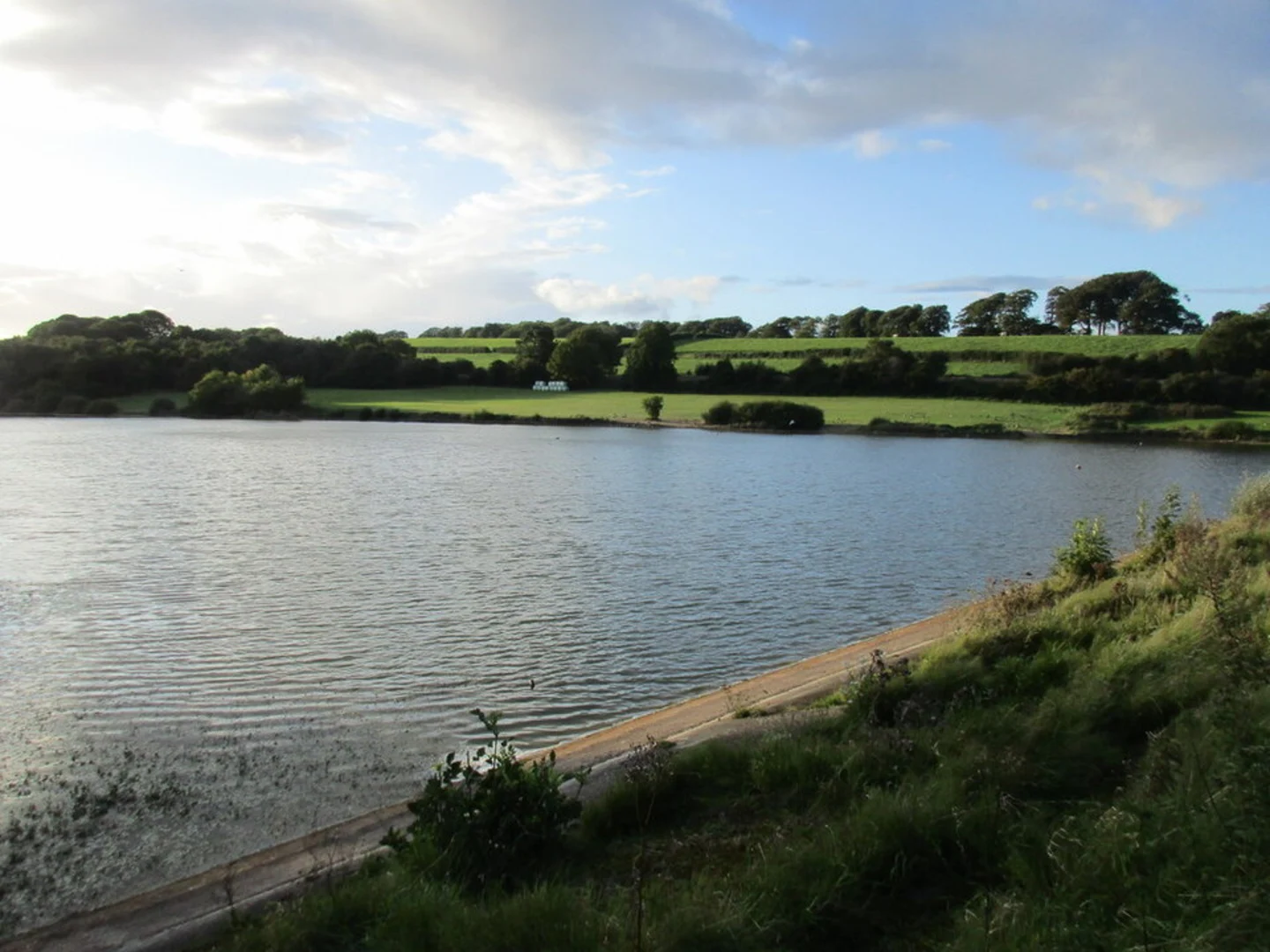 An image depicting the trail Sutton Bingham Reservoir and its surrounding area.