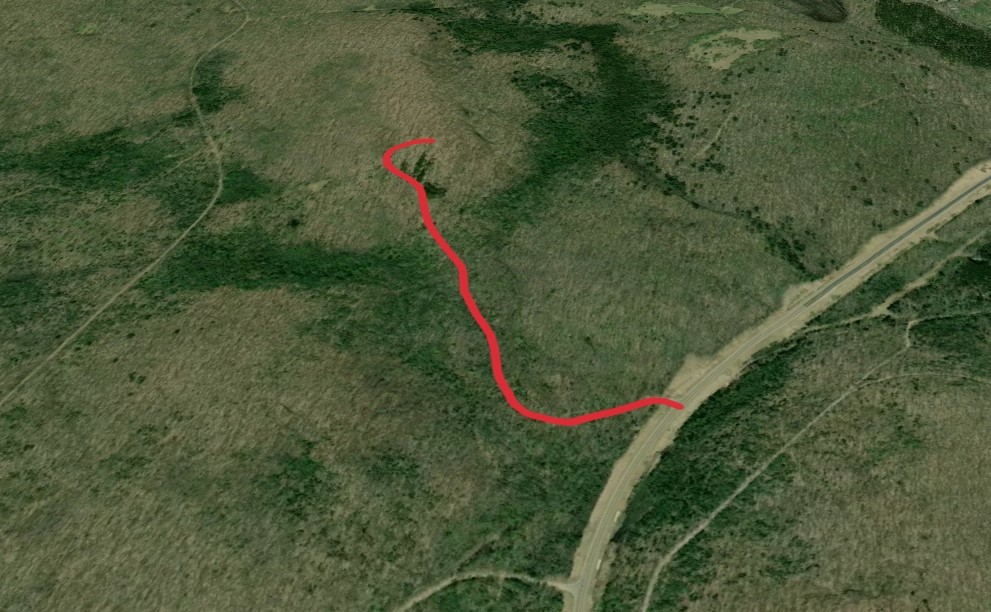 Carter Fire Tower Trail