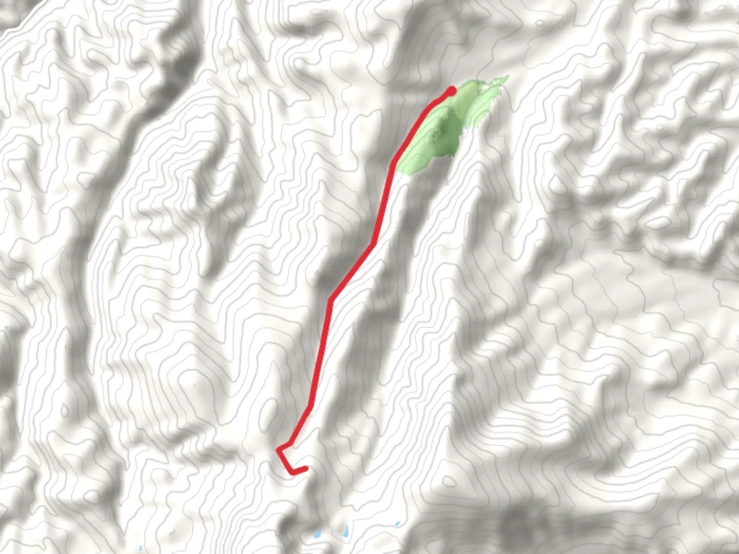 An image depicting the trail West Fork San Francisco Creek and its surrounding area.