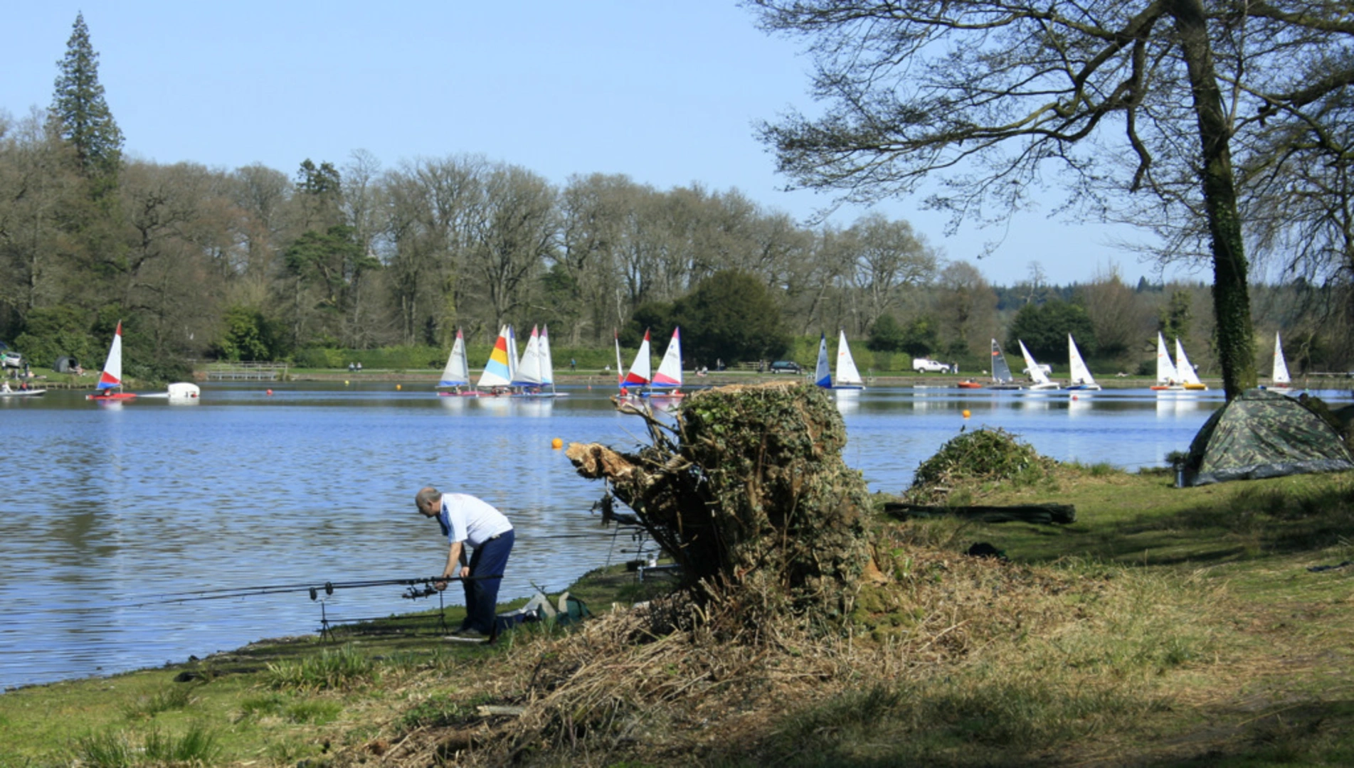 An image depicting the trail Shearwater Lake Walk and its surrounding area.