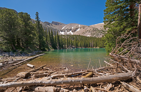 Wheeler Peak Trail via Stella Lake Trail