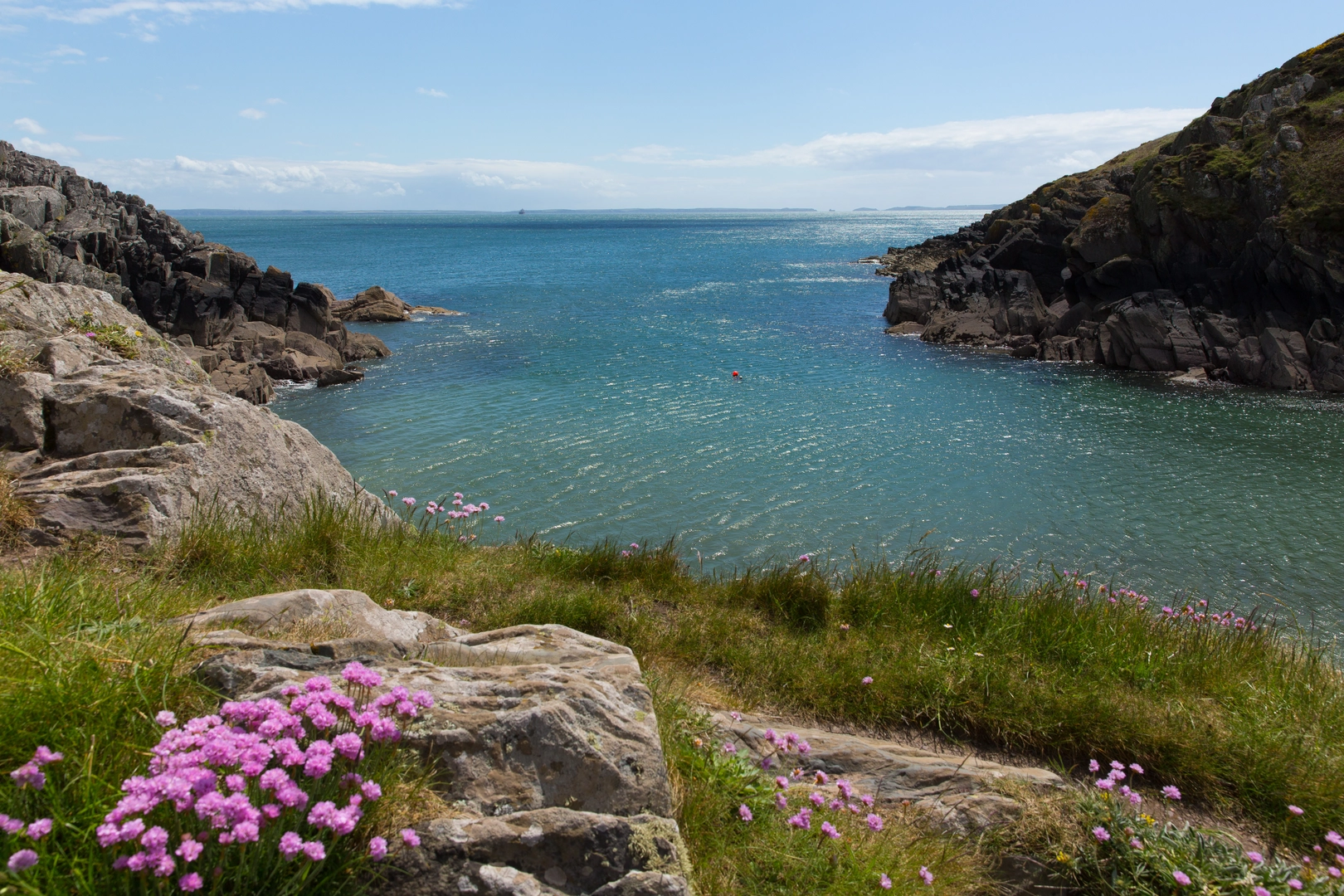 An image depicting the trail Porth Clais West and its surrounding area.