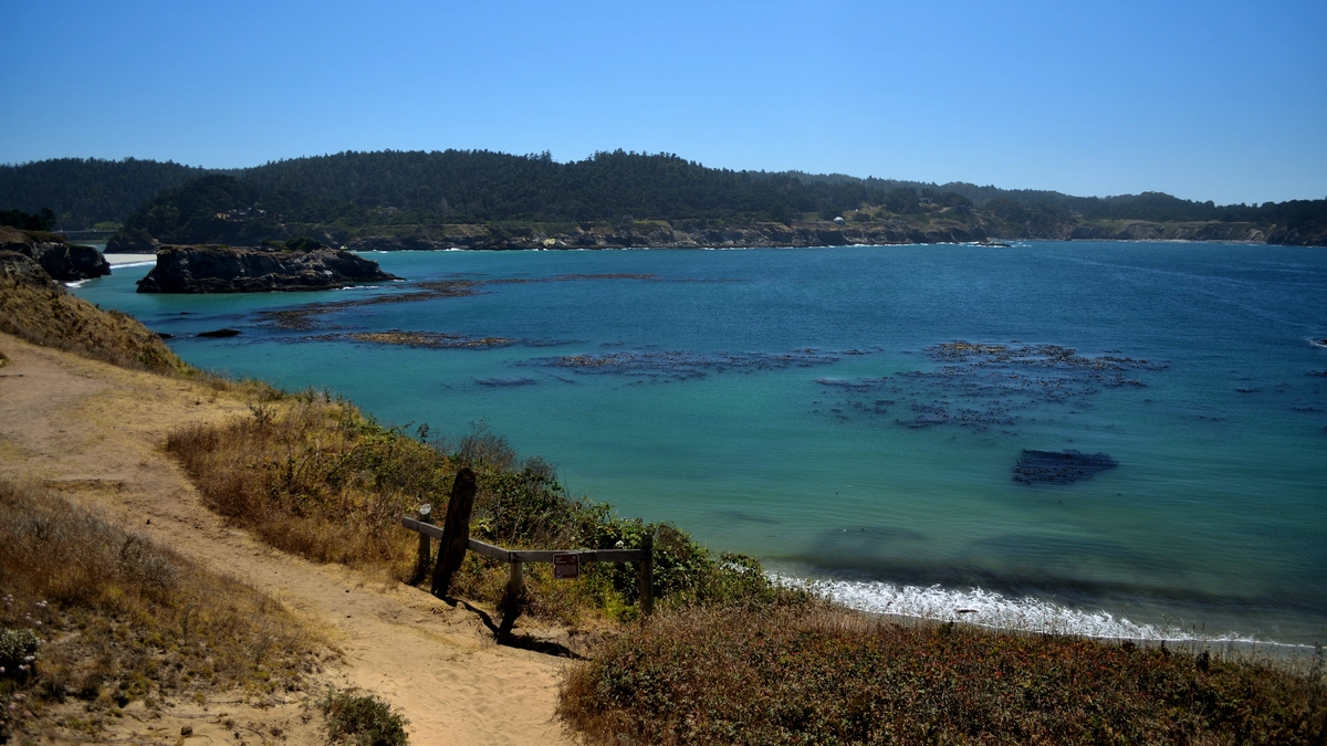 Mendocino Bay Overlook