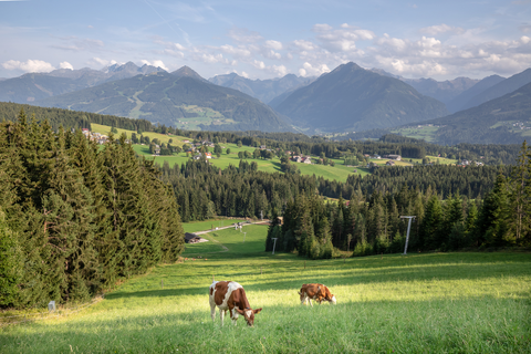 An image depicting the trail Fairy Tale Trail to Rittisberg and its surrounding area.