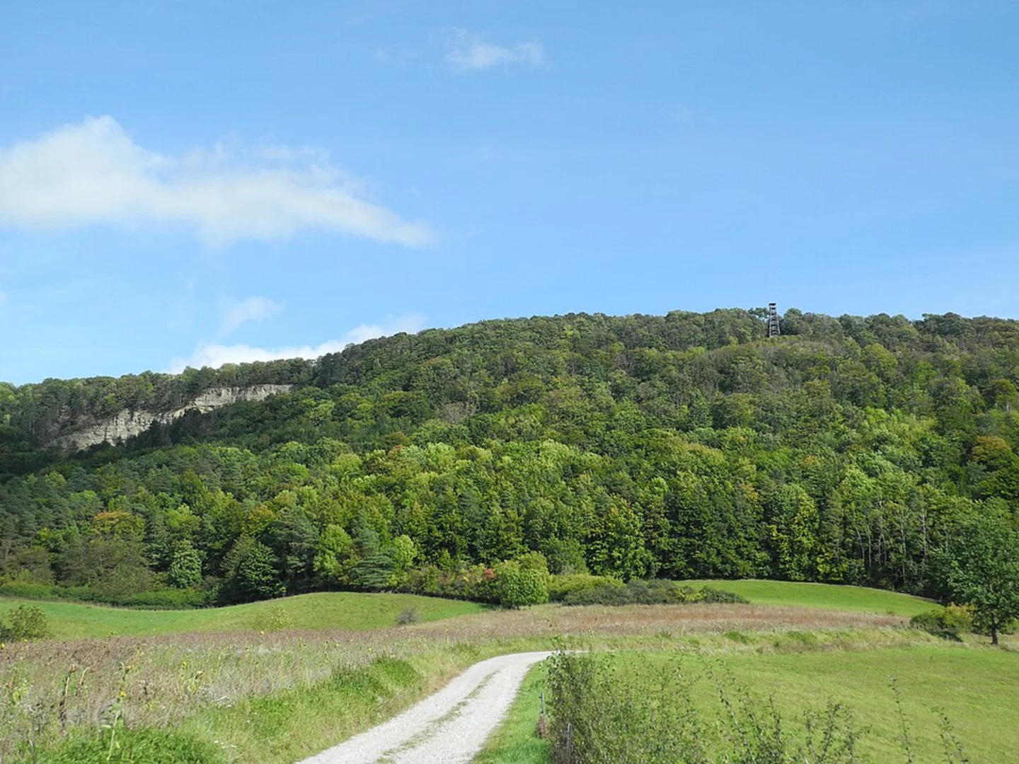 An image depicting the trail Rebbes Loop via Rundweg and its surrounding area.