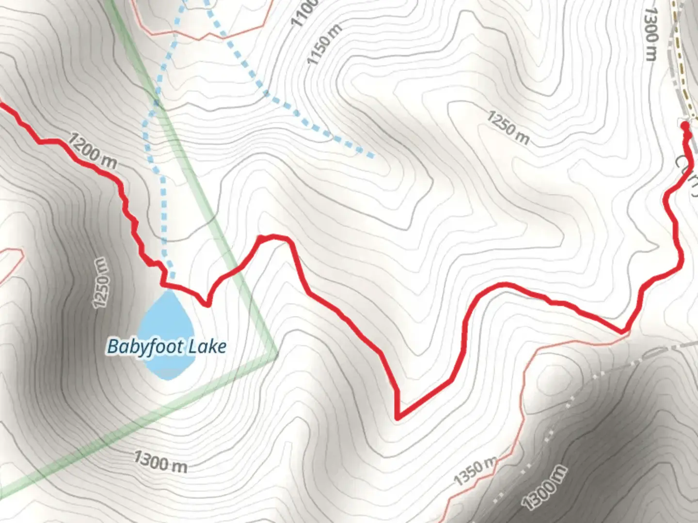 An image depicting the trail Babyfoot Lake Trail and its surrounding area.
