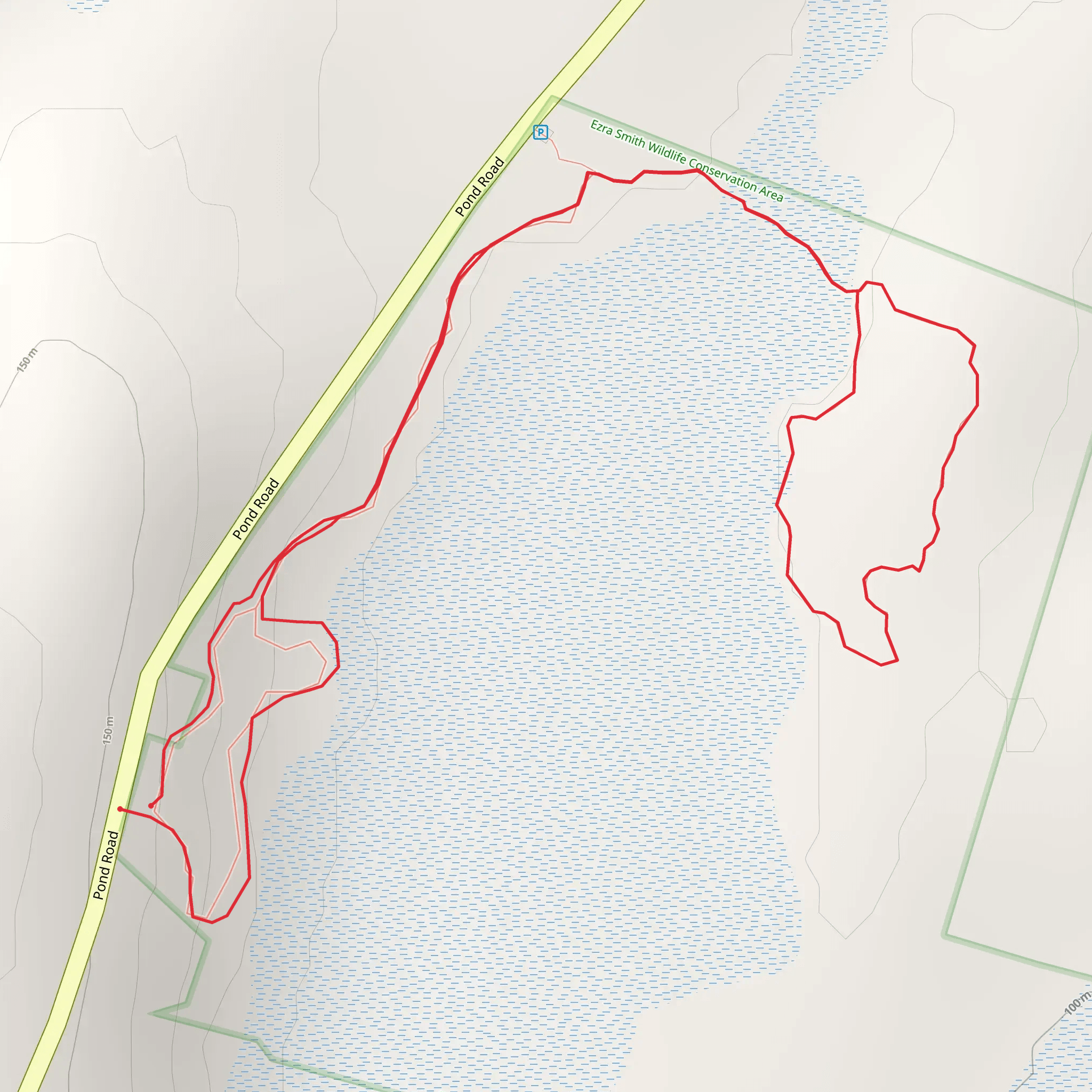 Landing Strip - Pond Road mobile static map