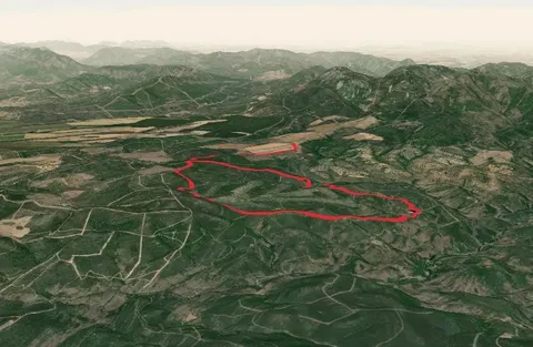 Ruta del Valle del Alcornocal