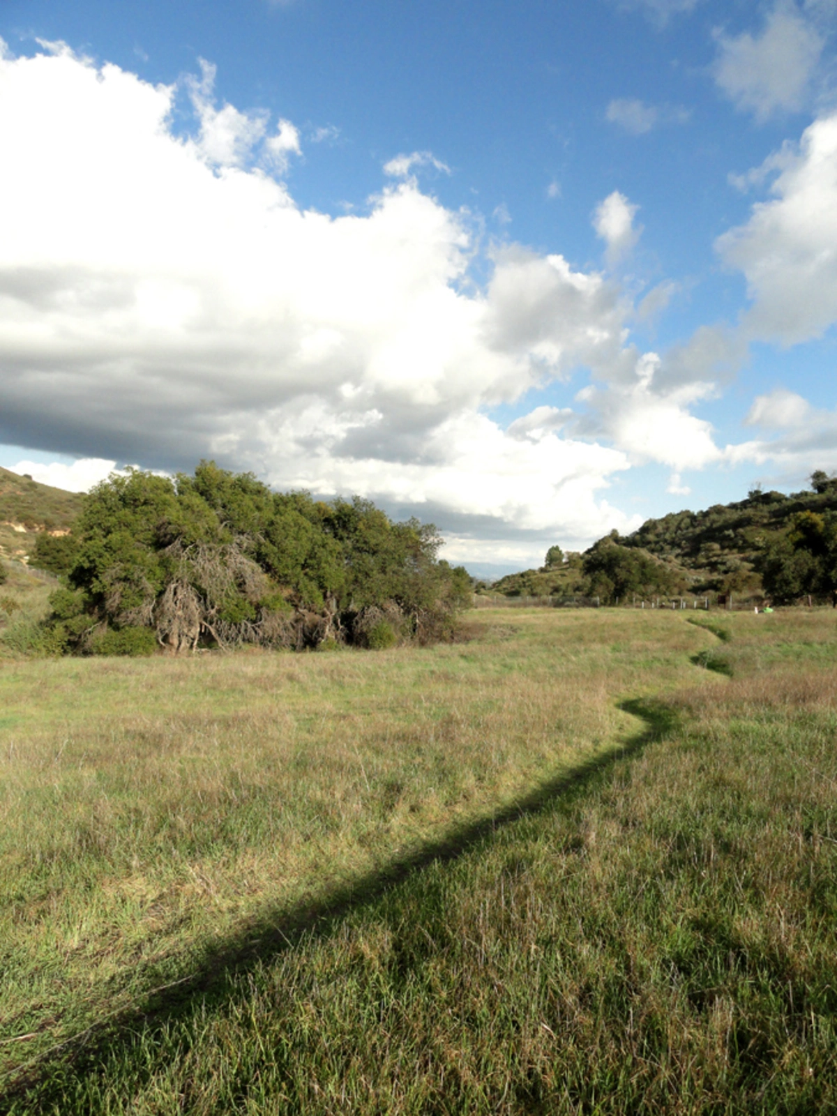 El Escorpion Loop Trail