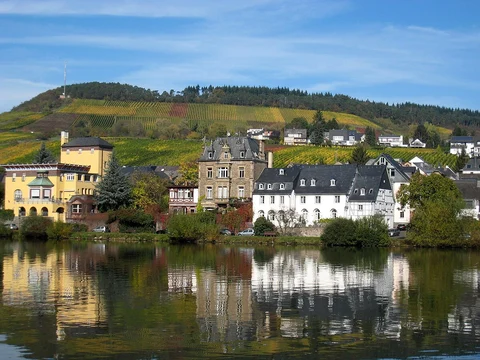 An image depicting the trail Grevenburg via Moselhoehenweg and its surrounding area.