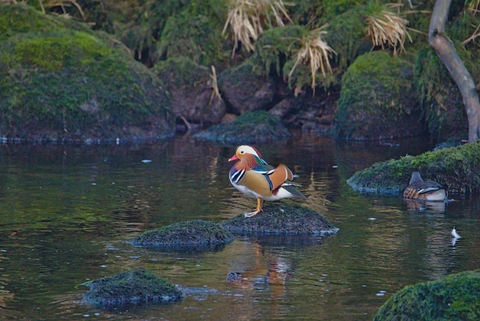 Otley Loop from Menston Station