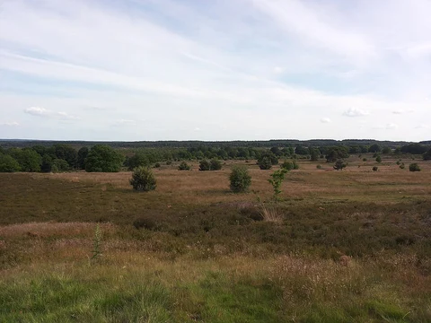 Noetselerberg and Eindhovense Loop