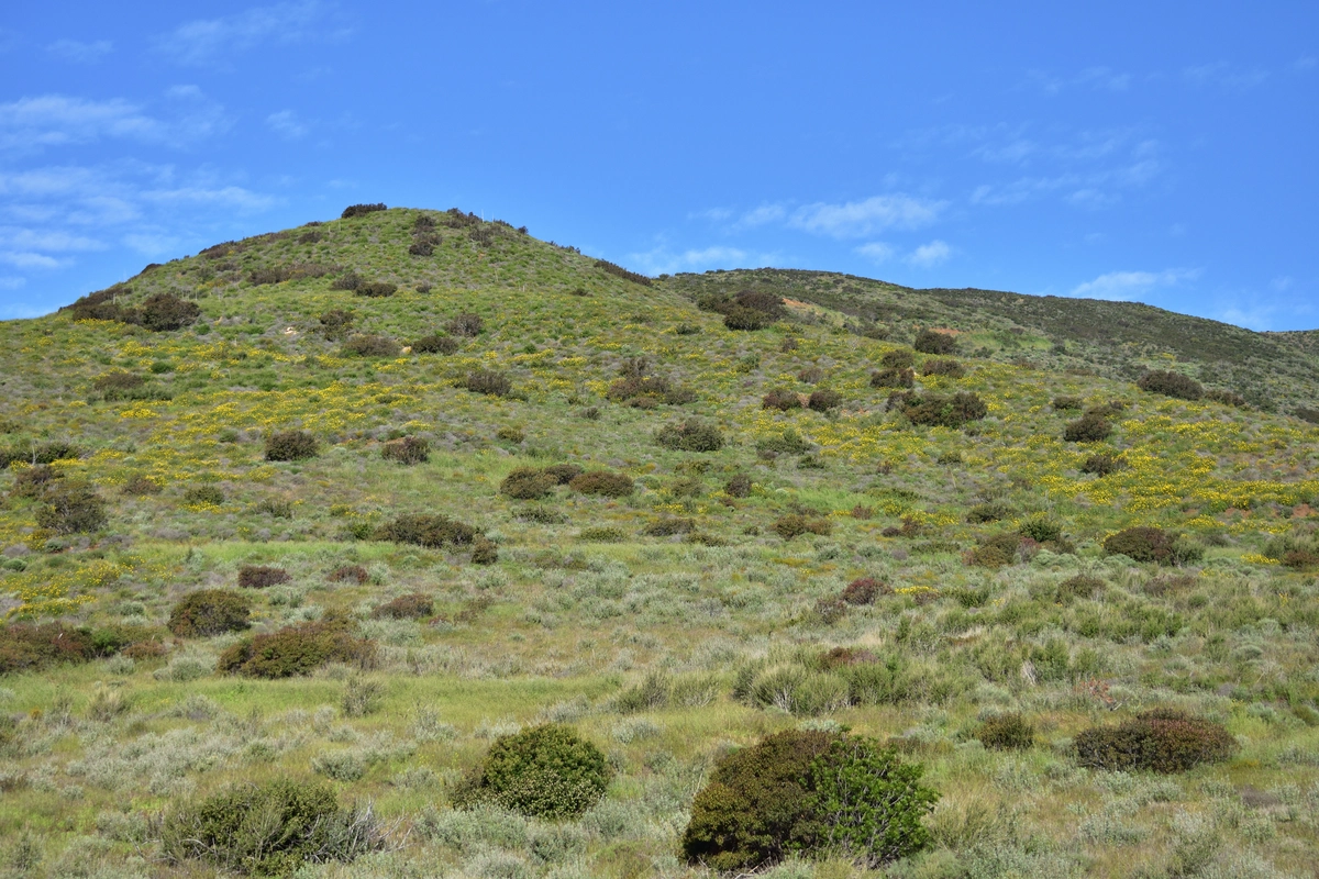 Sycamore Canyon Fire Road