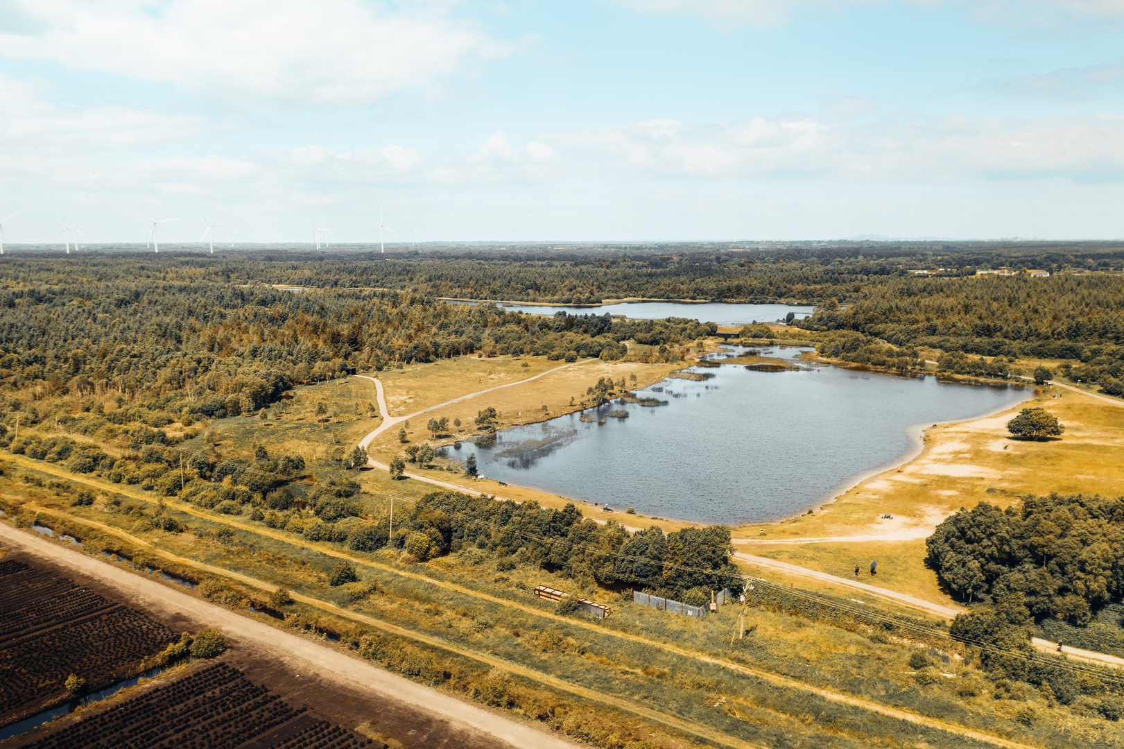 An image depicting the trail Derryounce Bog Lake Walk and its surrounding area.