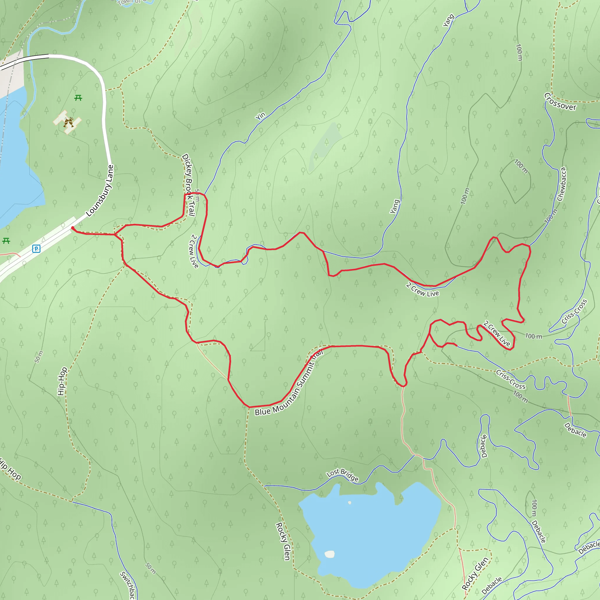 Blue Mountain Summit Trail Loop mobile static map