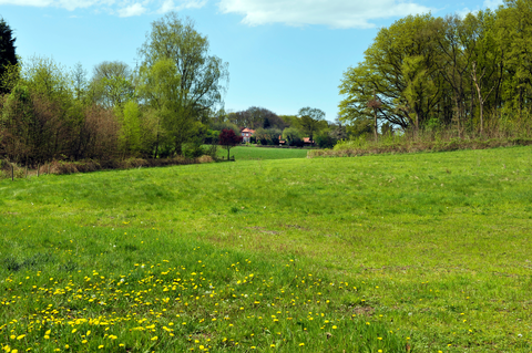 Centrum to Cuijk via Klein Amerika, Ruine Romeinse Villa and Mookerheide