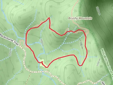 Brushy Mountain Loop Walk