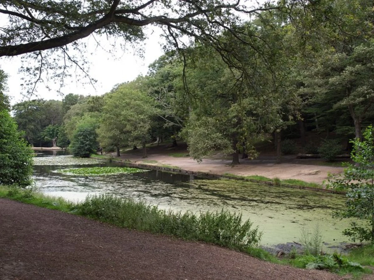 Wimbledon Common Circular Walk