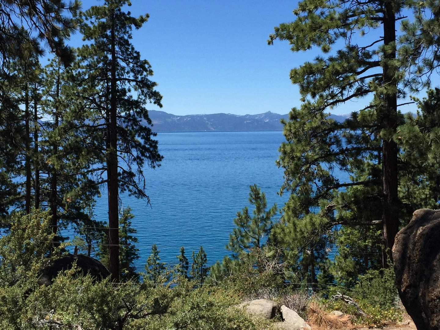 An image depicting the trail Blackwood Creek Loop Trail and its surrounding area.