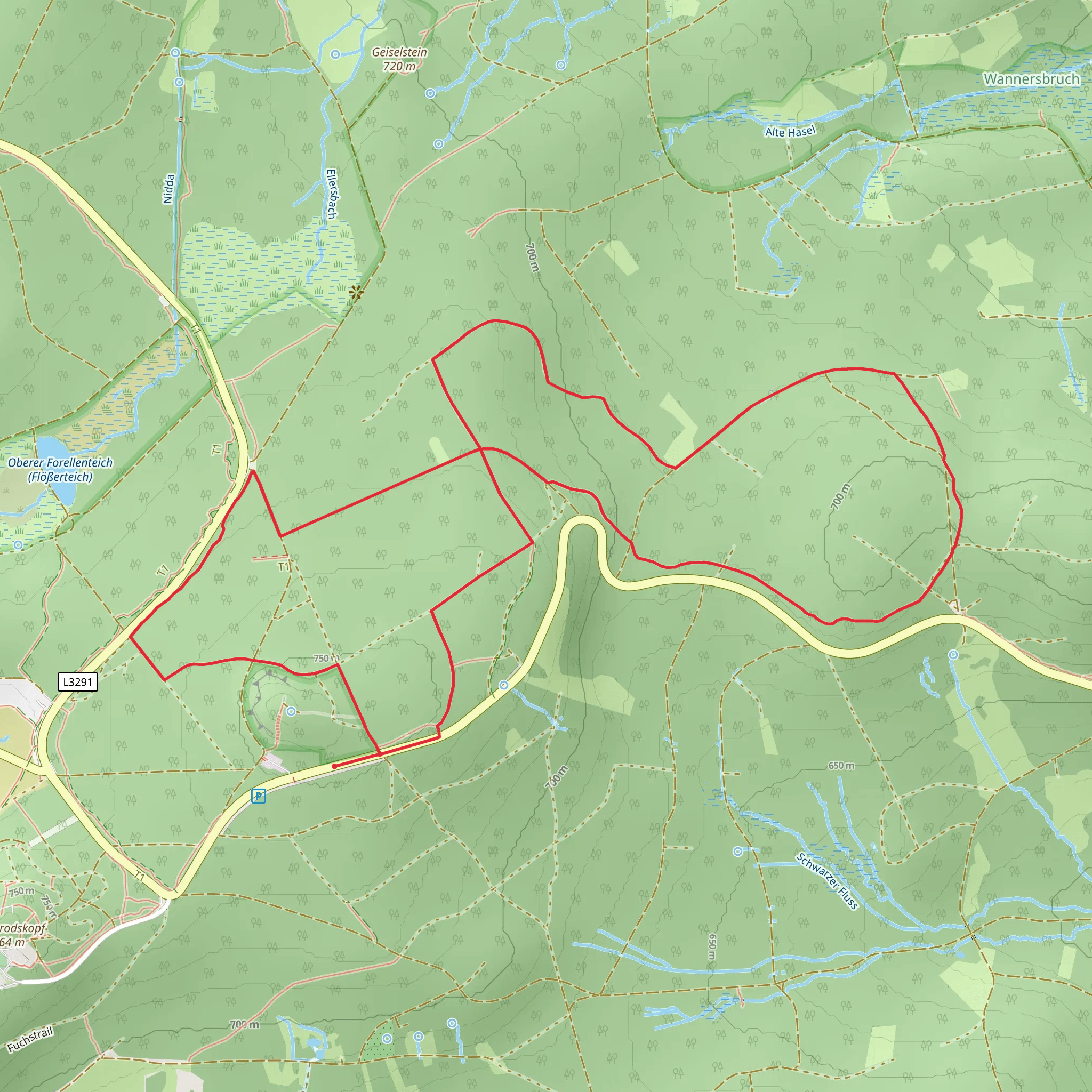 Bismarckturm Schotten Loop mobile static map