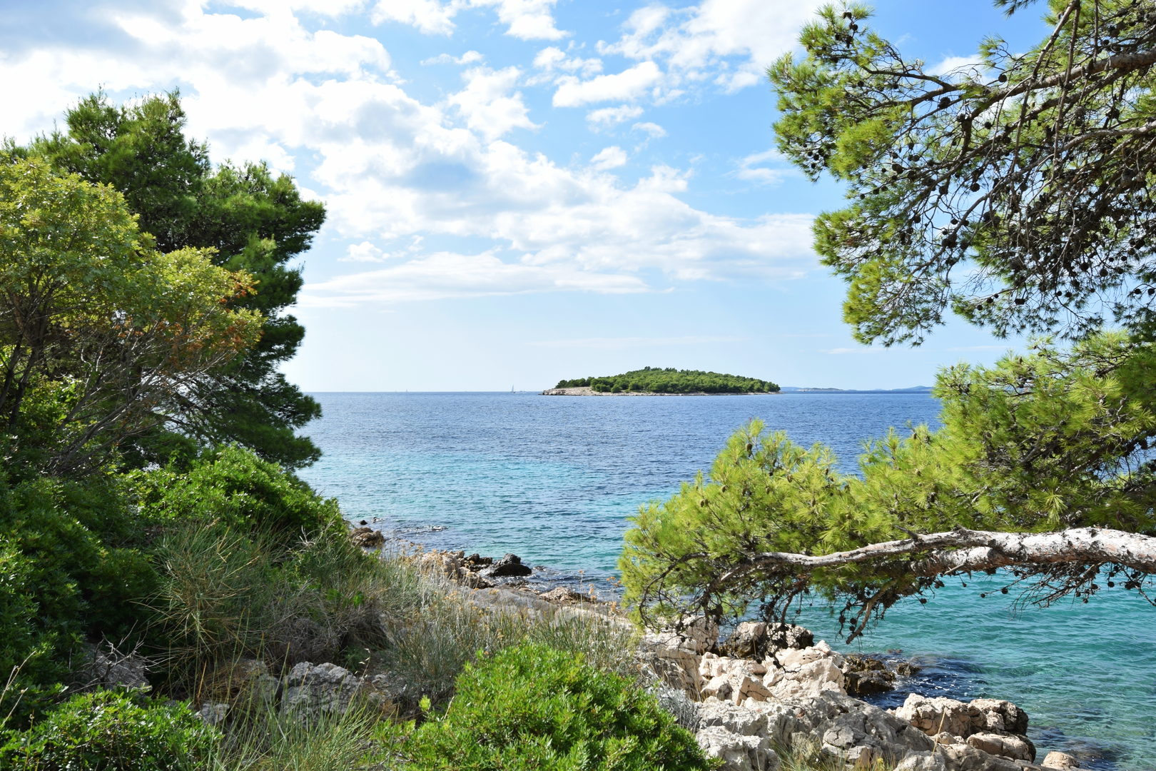 An image depicting the trail Azalea Loop Trail and its surrounding area.
