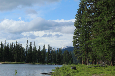An image depicting the trail Boyscout Trail B Trail and its surrounding area.