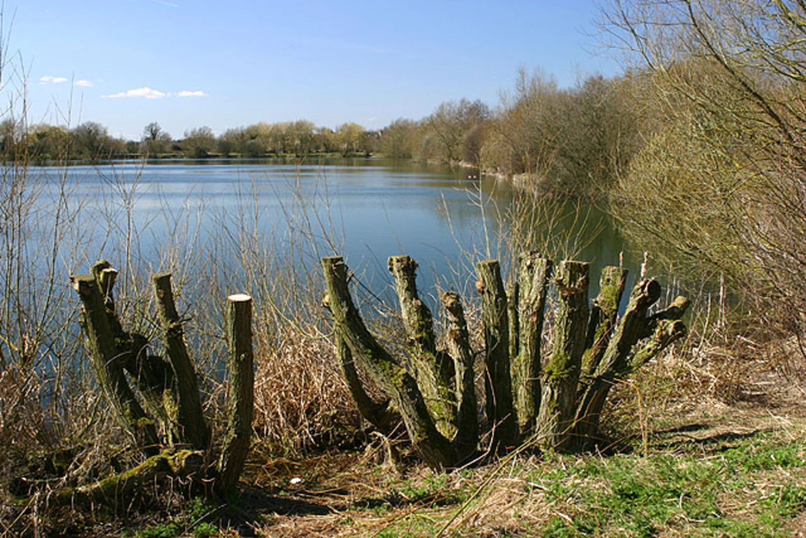 An image depicting the trail Berryham Plantation and Witney Lake and Country Park Loop and its surrounding area.