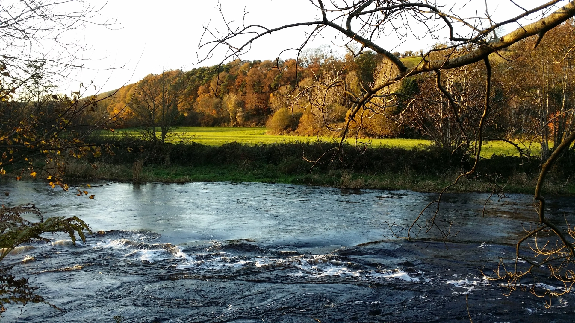 An image depicting the trail Ballincollig Gunpowder Trails - Ash Trail and its surrounding area.