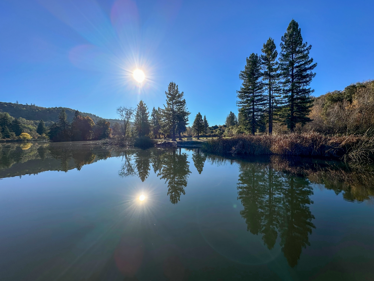 Warm Springs Creek via South Lake Trail