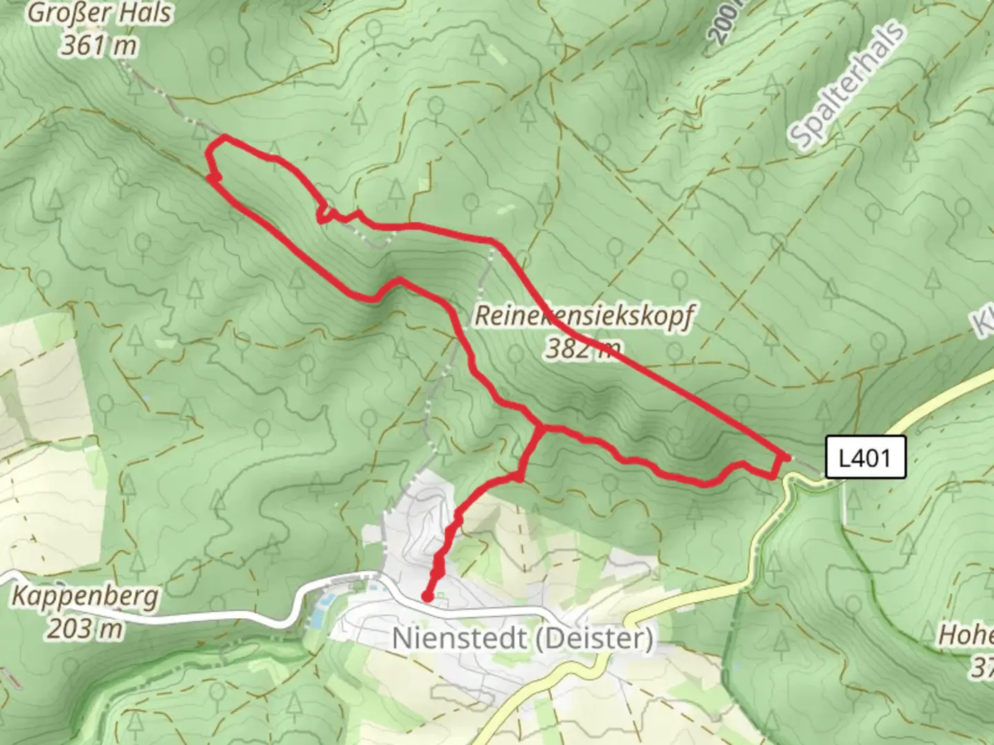 An image depicting the trail Reinekensiekskopf and Alte Taufe Loop and its surrounding area.