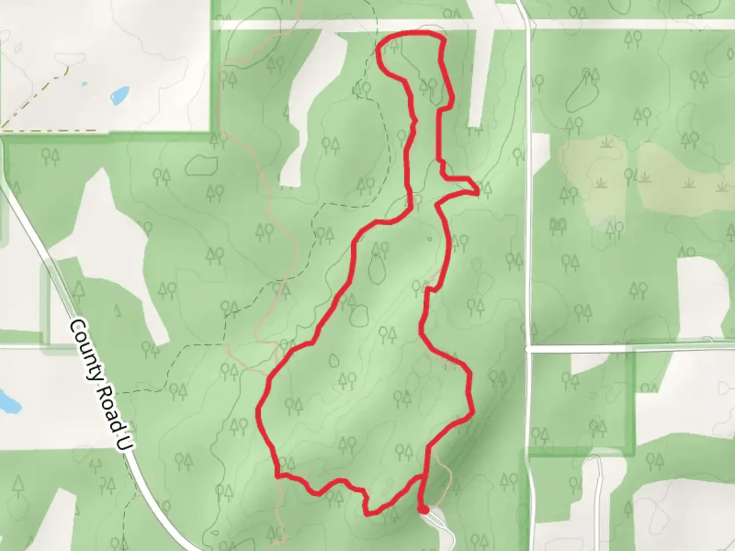 An image depicting the trail Parnell Tower Loop Trail and its surrounding area.