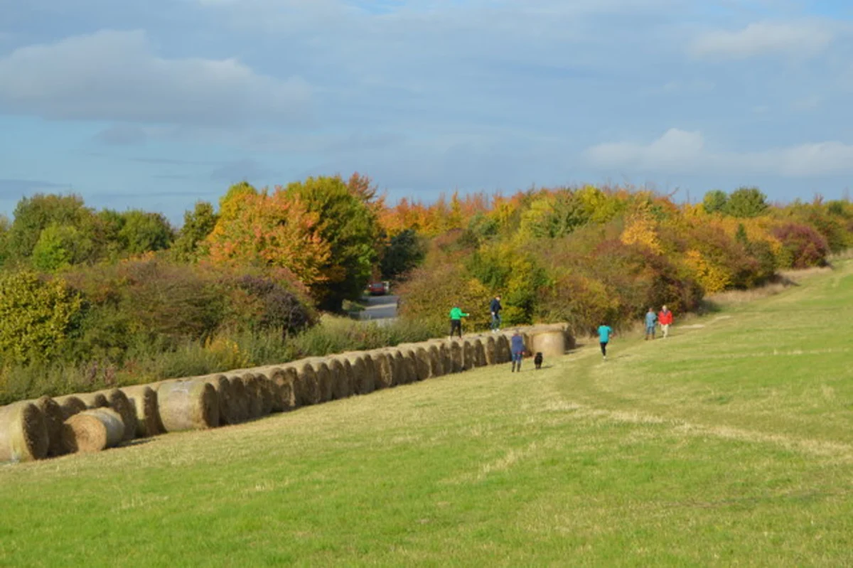Magog Down and Wandlebury Country Park Loop