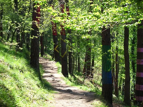 Oma- Basondo - Through the Enchanted Valley PR BI 180