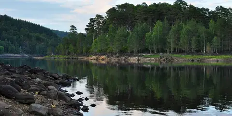 An image depicting the trail Affric Kintail Way and its surrounding area.