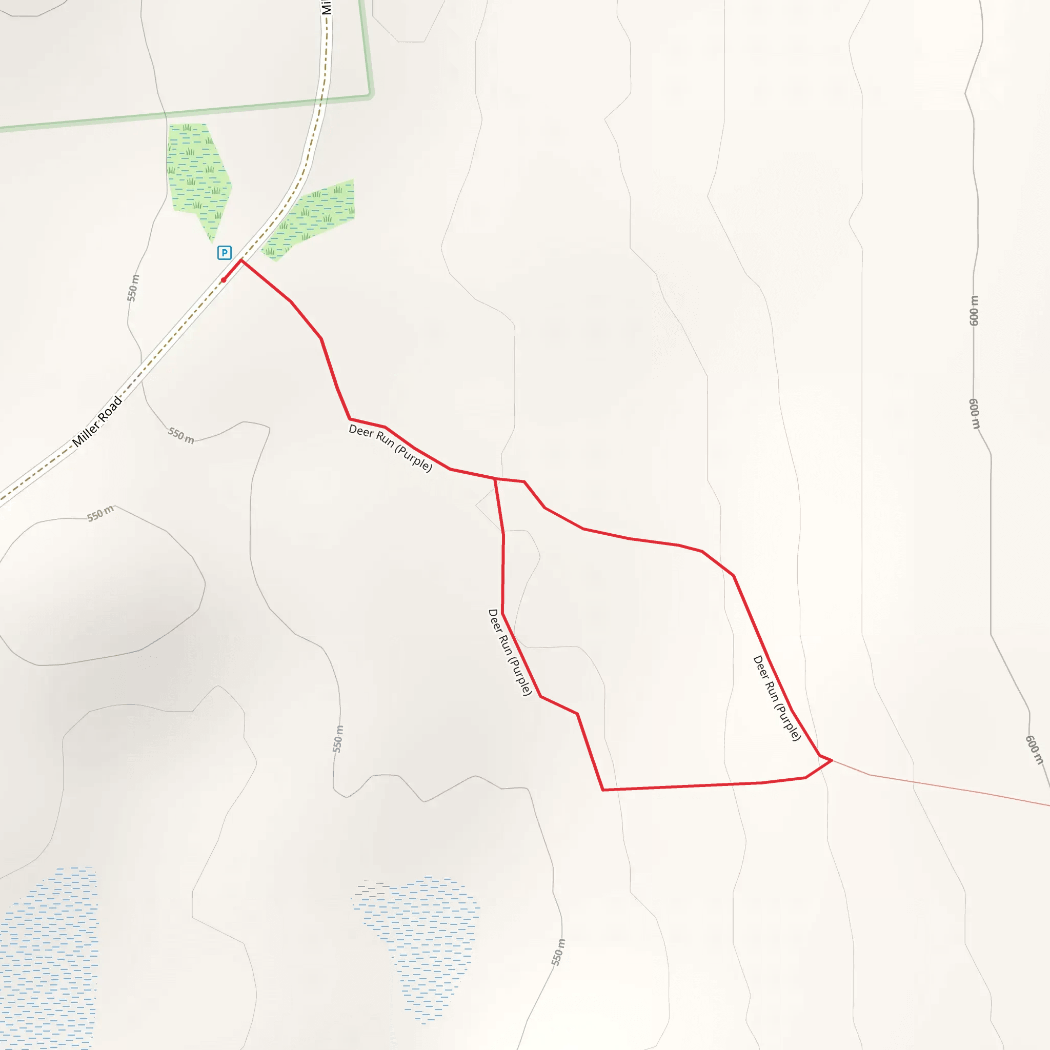 Deer Run - Purple Loop mobile static map