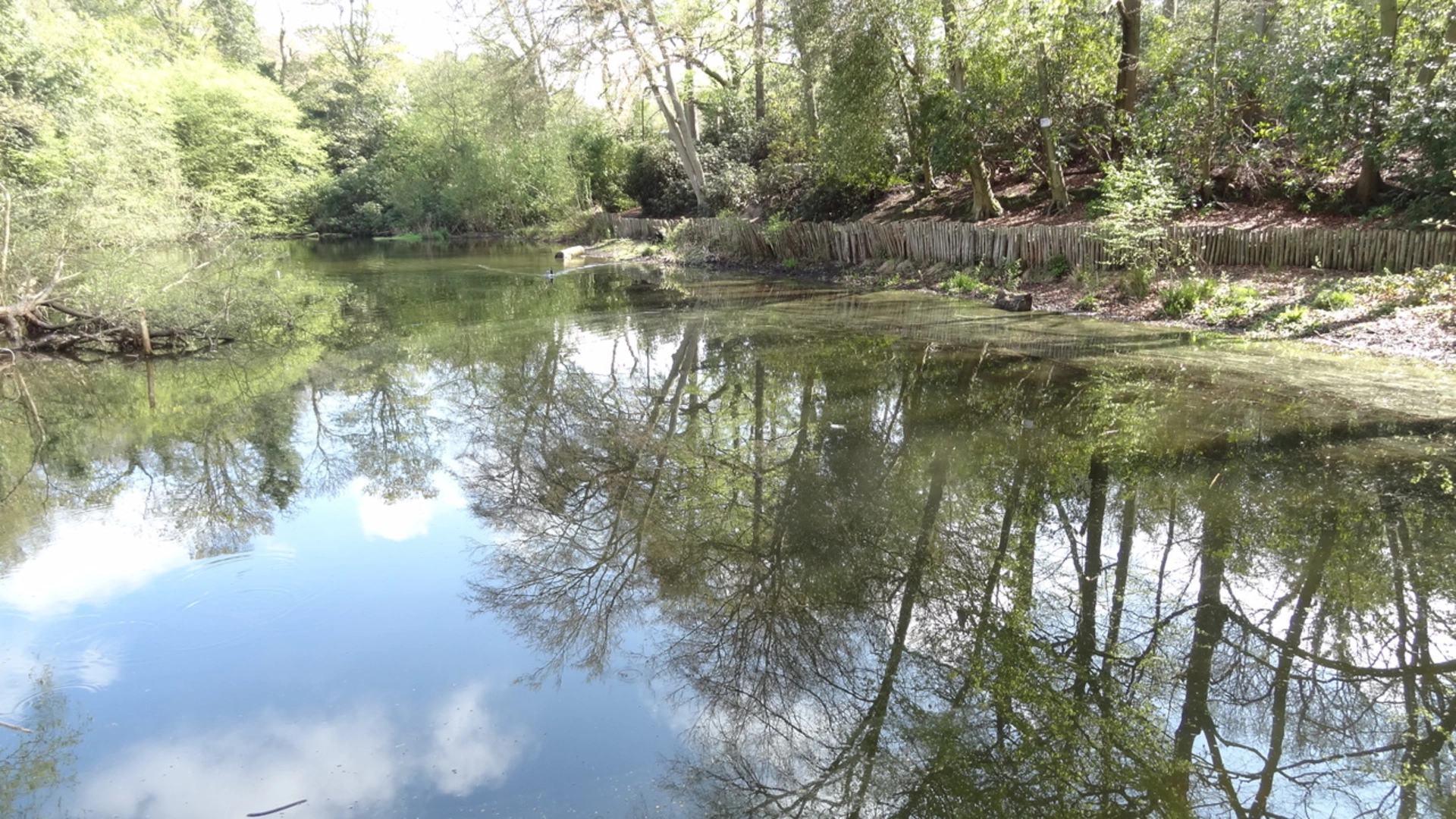 An image depicting the trail Keston Common and its surrounding area.
