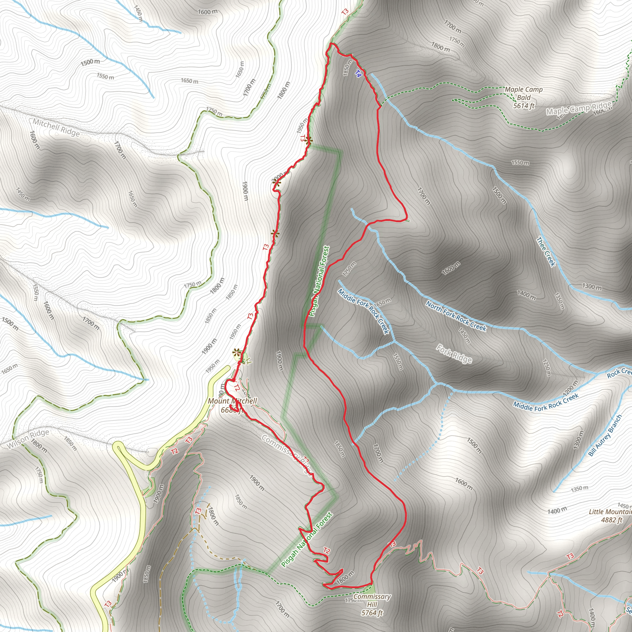 Big Tom, Mount Craig and Mitchell Loop mobile static map