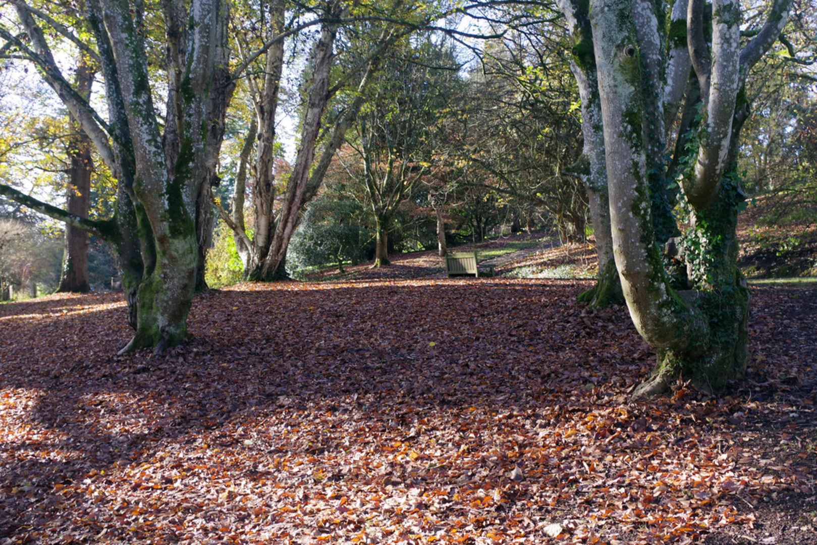 An image depicting the trail Batsford Park via Monarch's Way and its surrounding area.