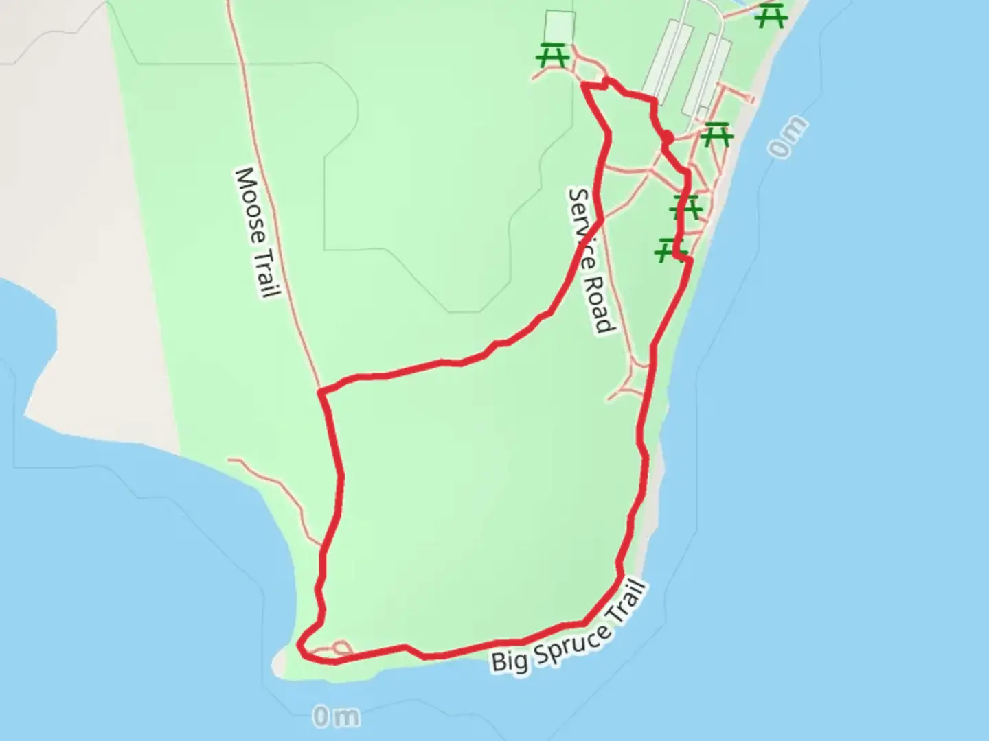 An image depicting the trail Big Spruce Loop Trail and its surrounding area.
