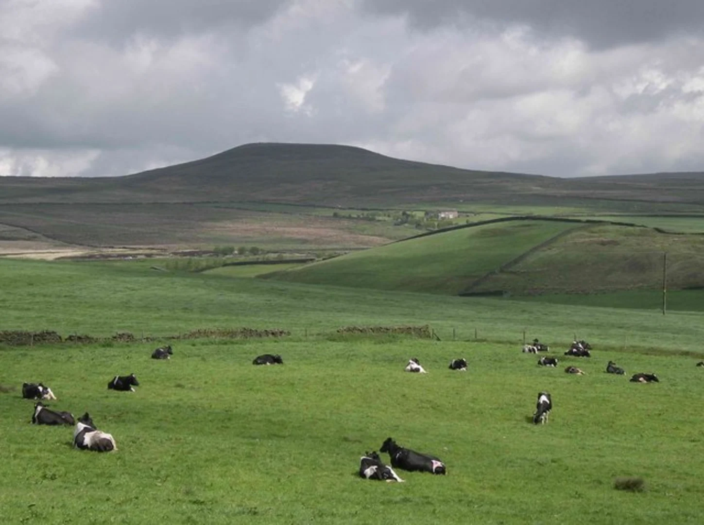 An image depicting the trail Naden Upper Reservoir and Knowl Hill Loop and its surrounding area.