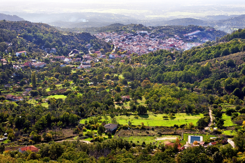Bear's Head and Peeled PR TO 21