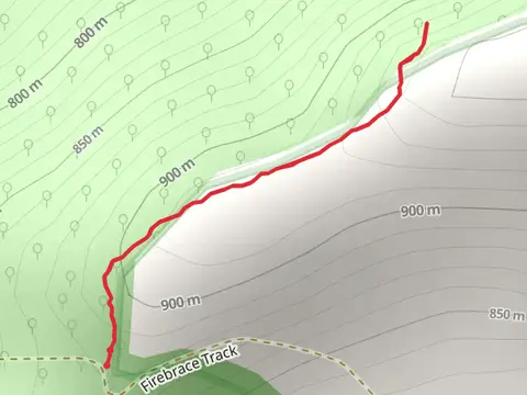 Conic Range Walking Track