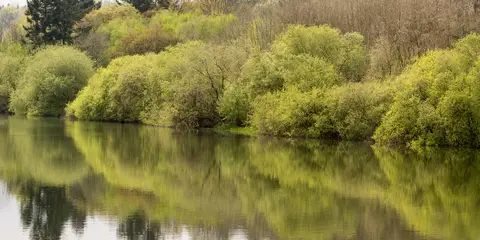 An image depicting the trail Balcombe and Ardingly Reservoir and its surrounding area.